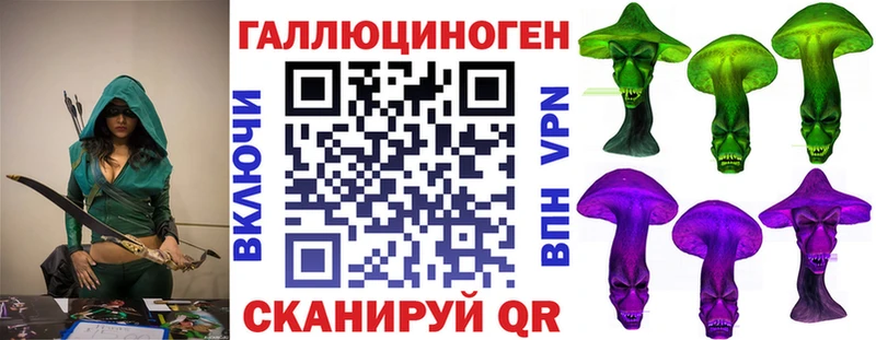 Галлюциногенные грибы Psilocybe  Буйнакск 