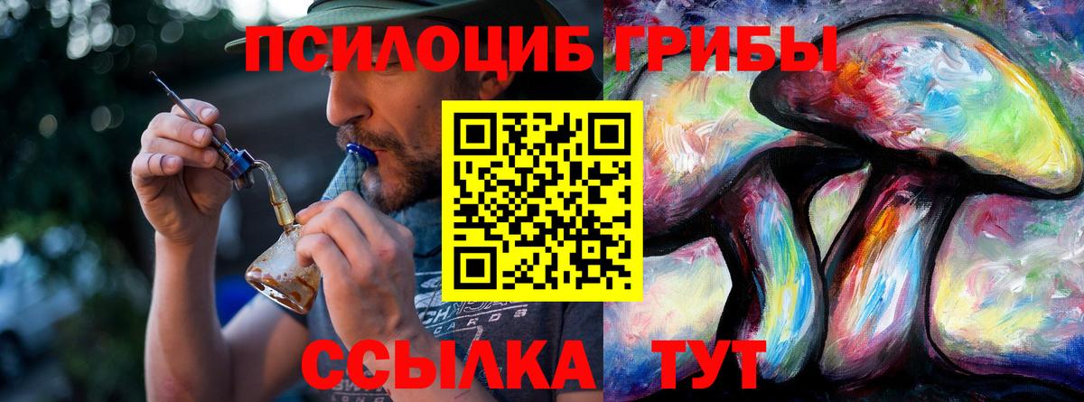 Псилоцибиновые грибы Cubensis  Галлюциногенные грибы Cubensis  Буйнакск 